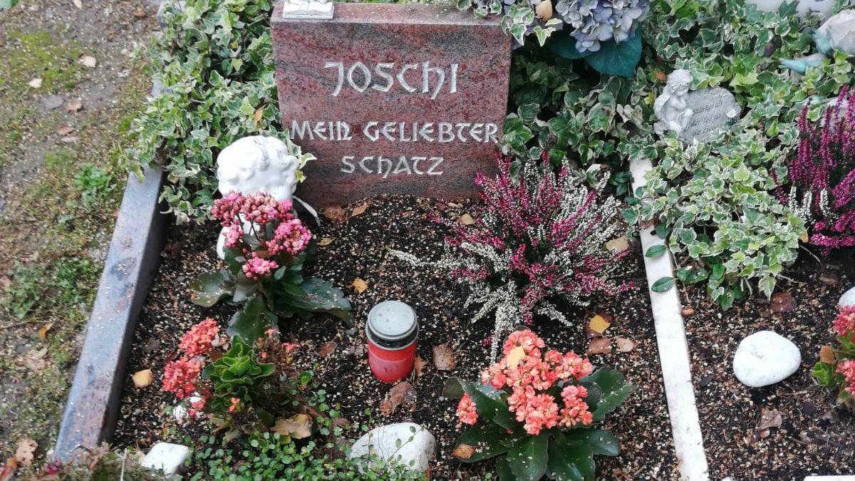 Tierfriedhof Mick