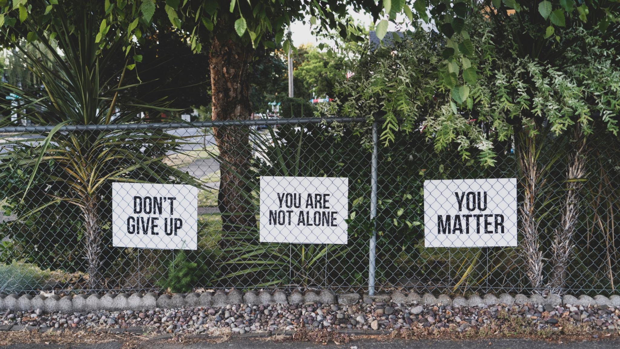 Foto: Unsplash/Dan Meyers