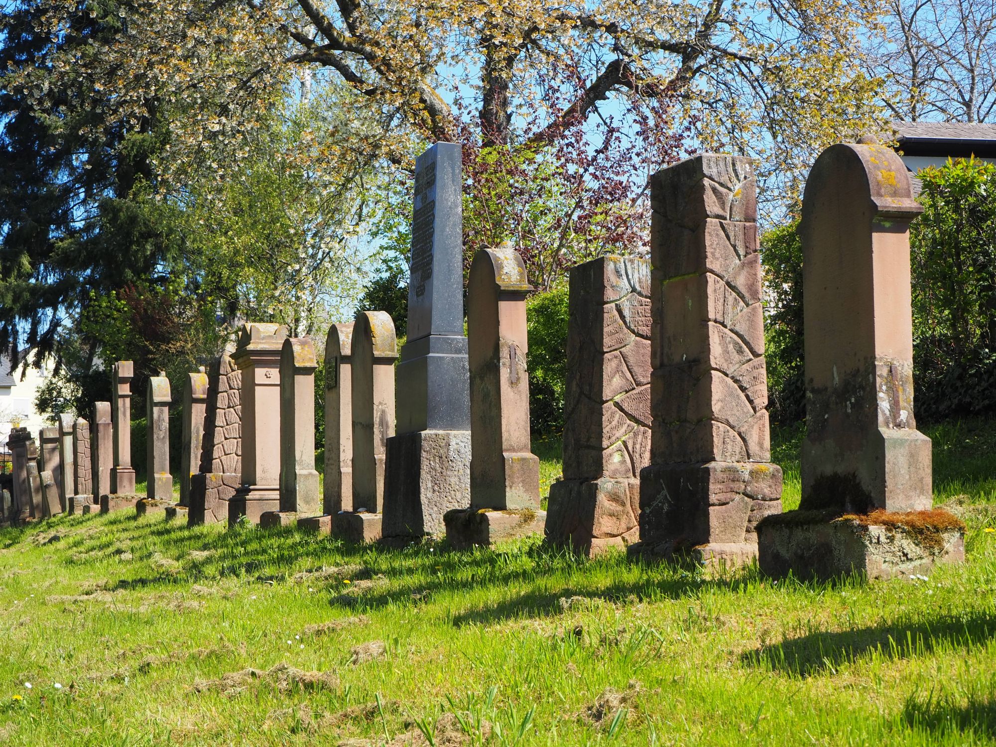 Jüdischer Friedhof in Schweich. Foto: Judith Schwickerath
