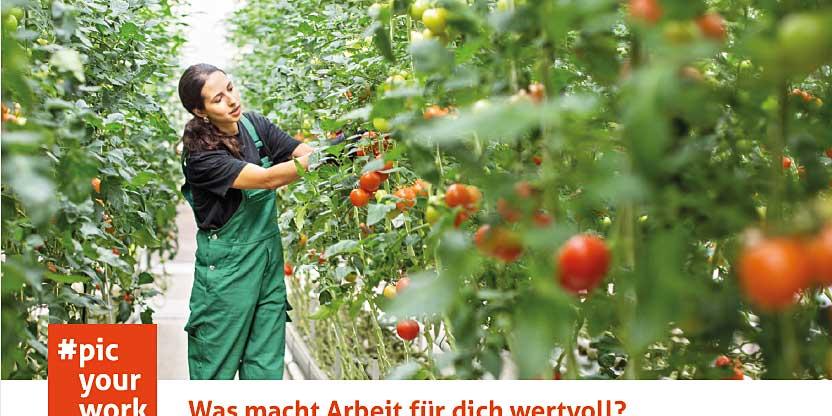 Beispielbild zur Aktion picyourwork