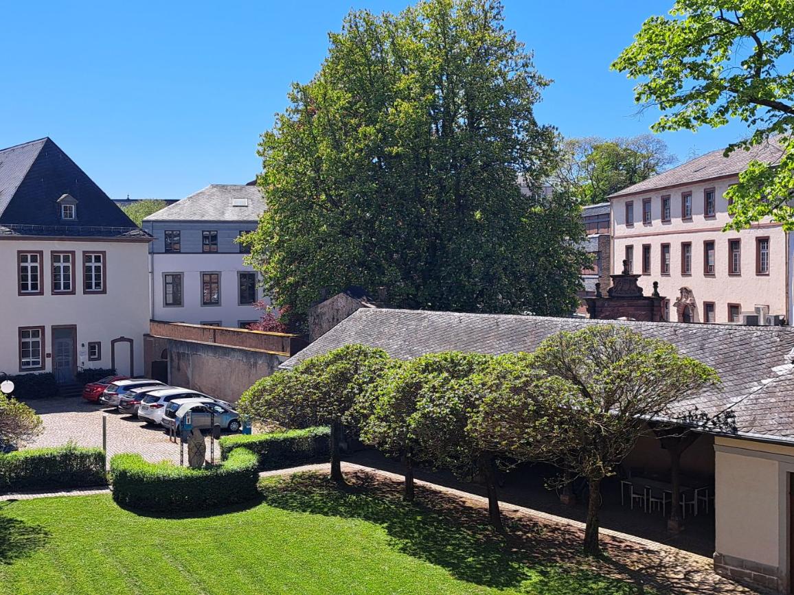 20250429_134317b (c) Holger Sturm 20250429_134317b