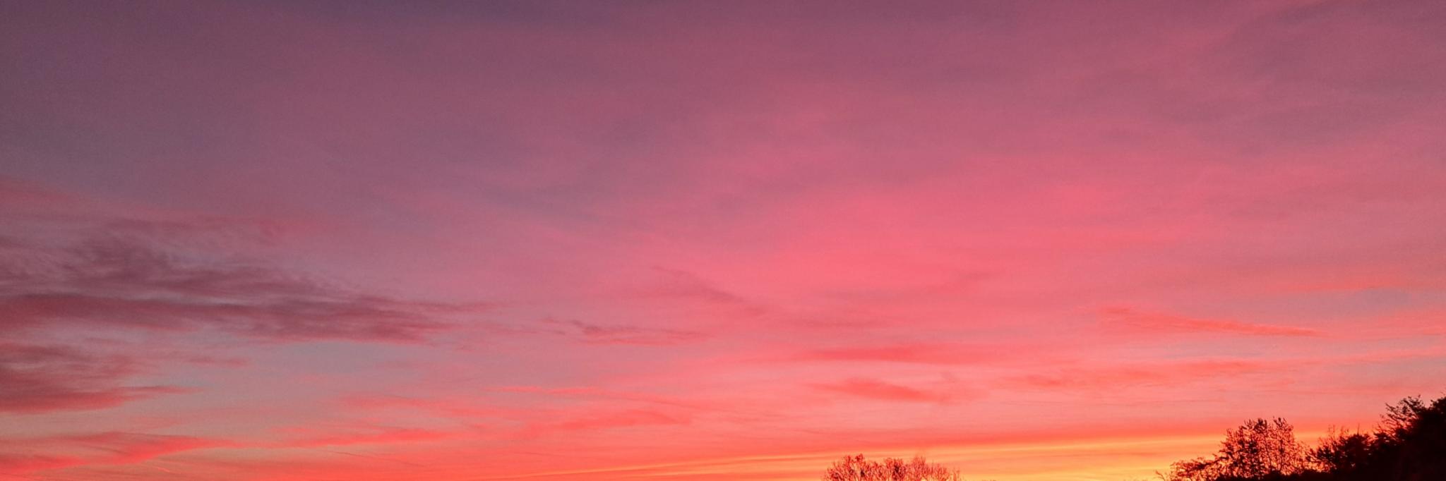 20251031_065800 (c) Holger Sturm 20251031_065800