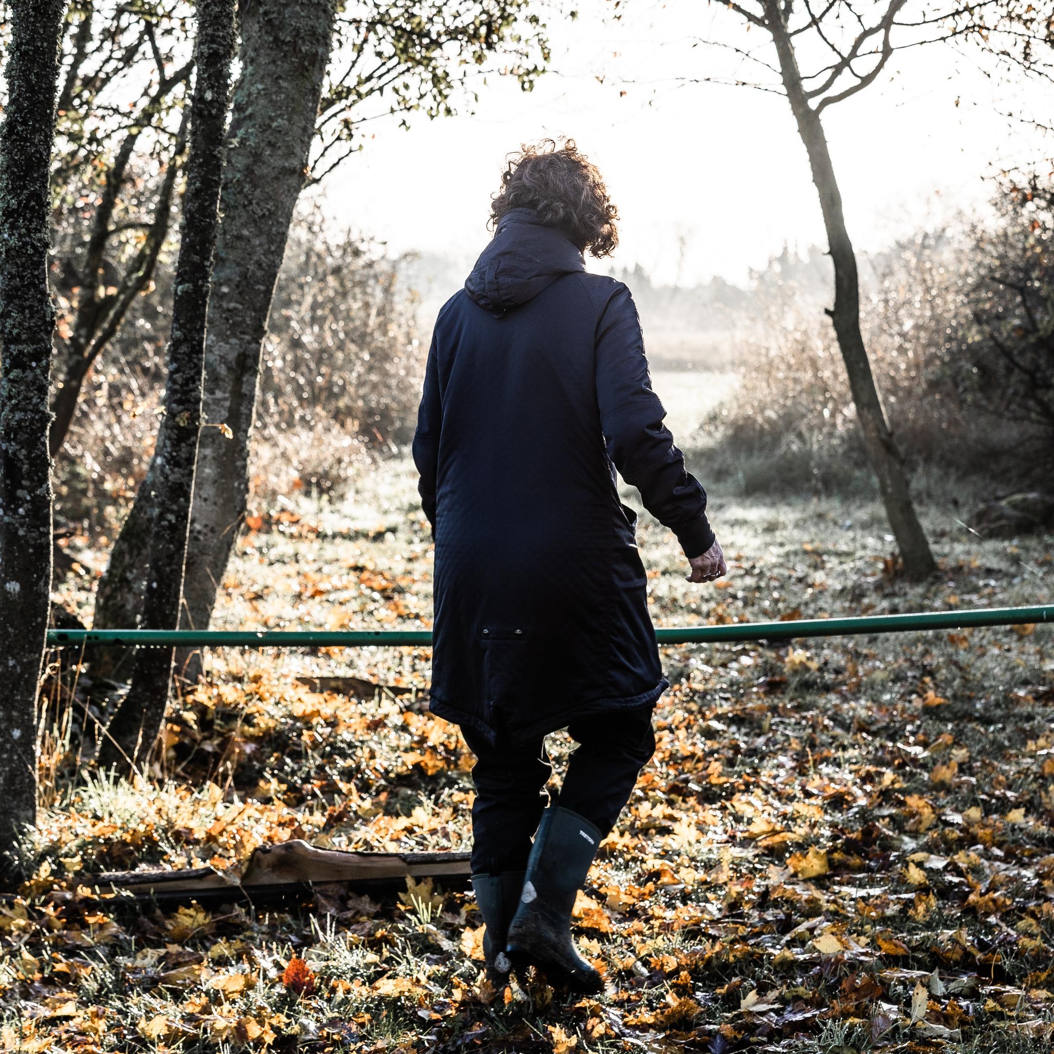 Eine Frau (von hinten zu sehen) steht im Herbstwald vor einer Absperrung (grüne Stange).