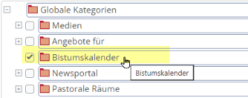 Screenshot aus OpenCms