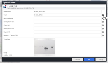 Neue Option beim Hochladen von Bildern