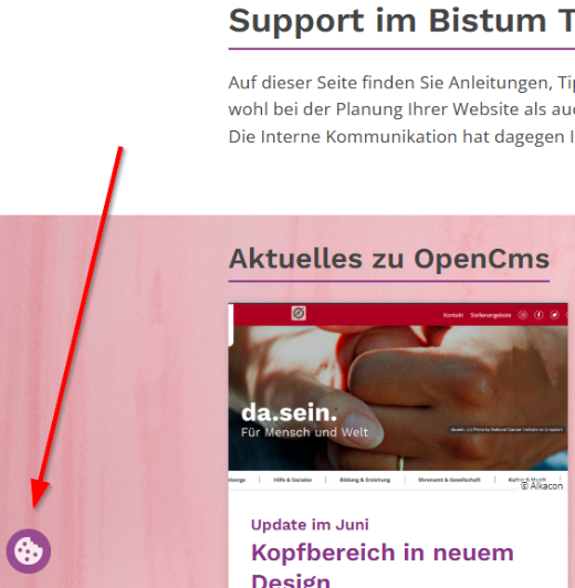 Ausschnitt einer Webseite. Man sieht am unteren Ende ein Symbol für einen Keks.