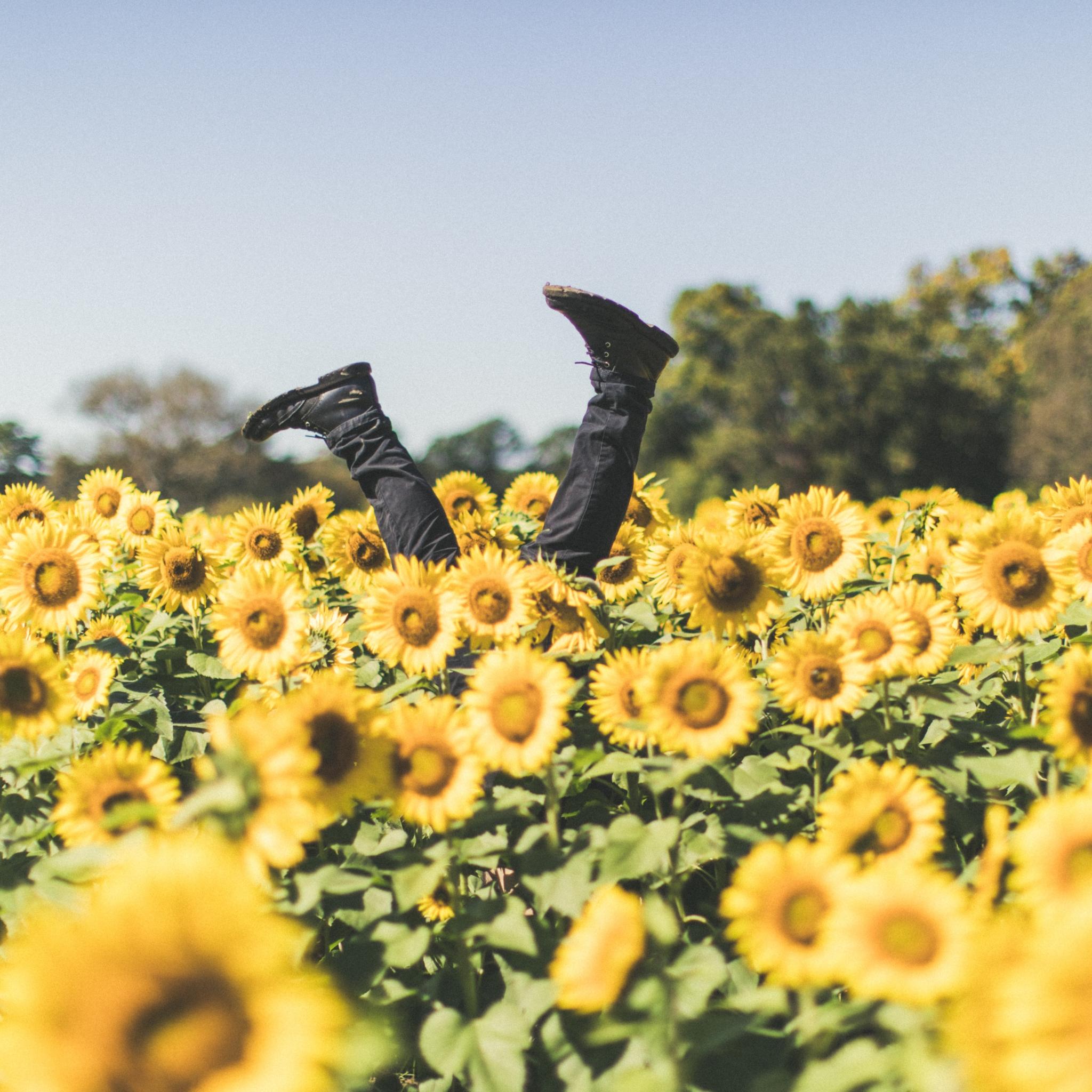 anleitungen_derek-thomson-Z7-ZhxCJ4H0-unsplash