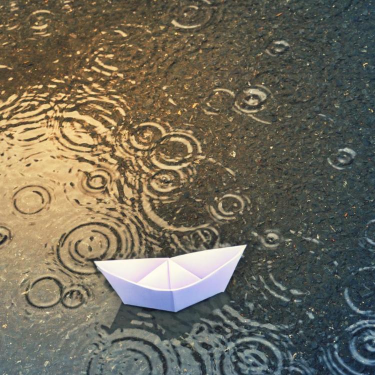 origami-8031949_by_jplenio_pixabay_pbs
