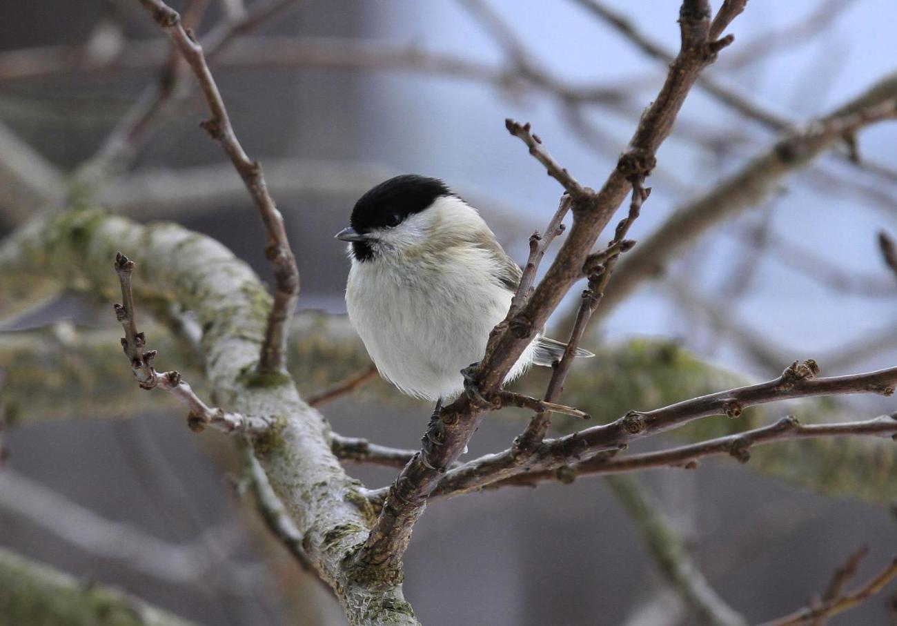 137_by_doris_schug_pfarrbriefservice