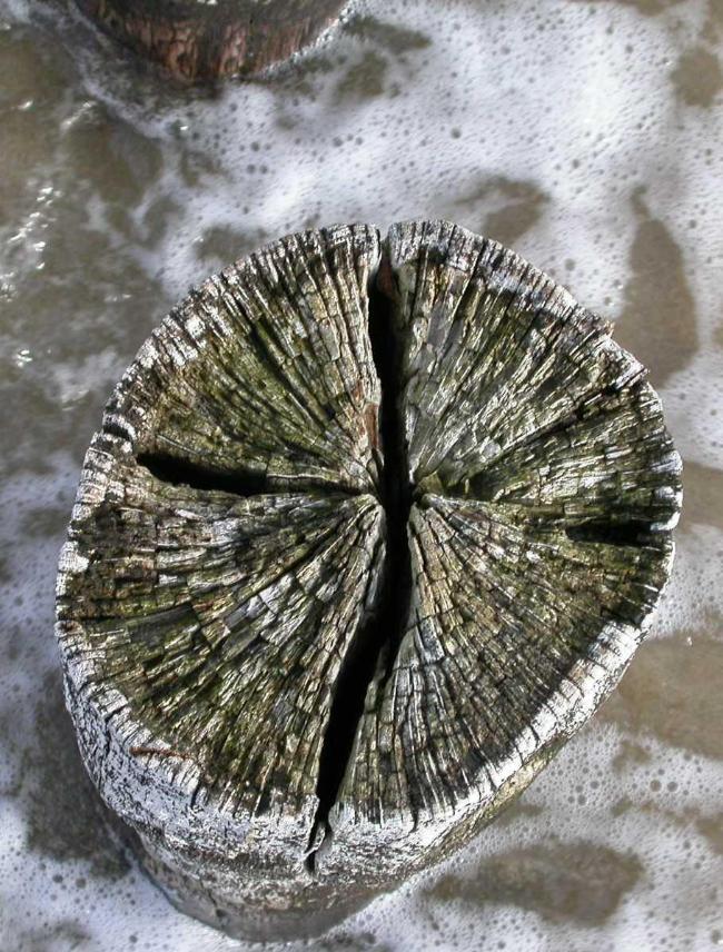 Ein Kreuz in einem gespaltenem Holz