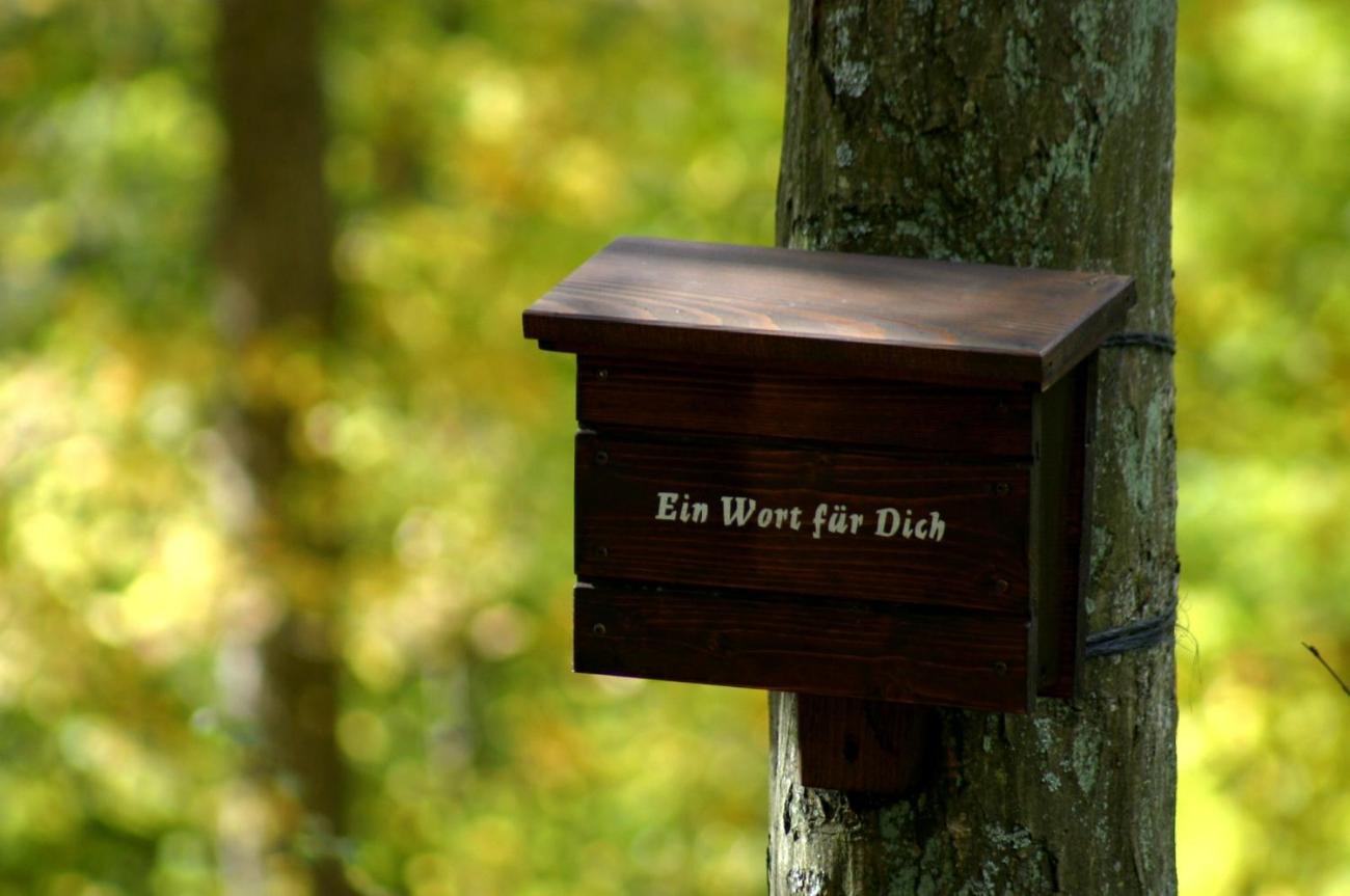 Ein einfacher Briefkasten an einem Baum mit der Aufschrift 'Ein Wort für Dich'.