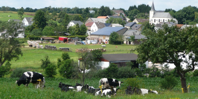 B-Schartz-P1050364K.344d808a (c) Barbara Schartz / KEB Ein Dorf mit einer Kuhweide im Vordergrund