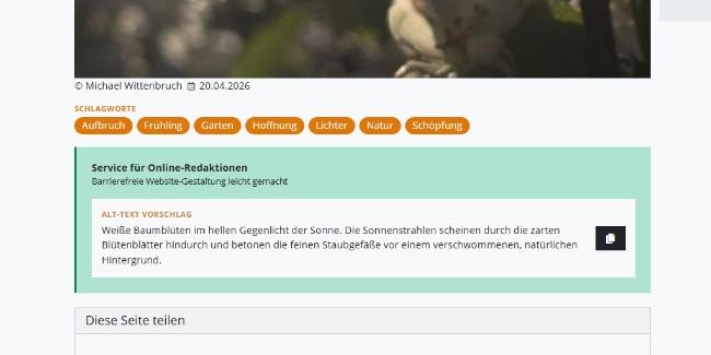 Ein Sreeenshot von einem Alternativtext