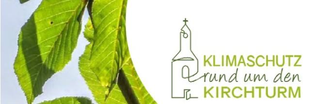 Bildschirmfoto_6-3-2026_93042_www.bistum-trier.de