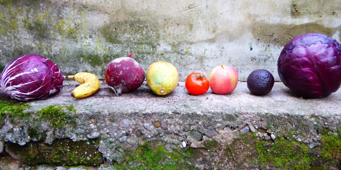 Gemüse und Obst nebeneinander auf einer moosigen Steinbank vor einer Wand.