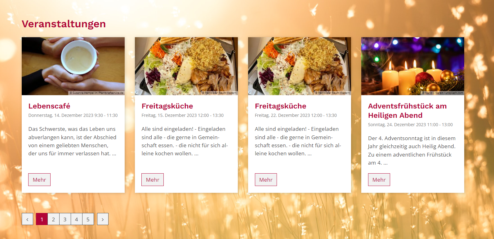 Man sieht vier Termine mit Bild und Text. Dahinter liegt ein Foto von einem sonnenbeschienenen Gräserfeld