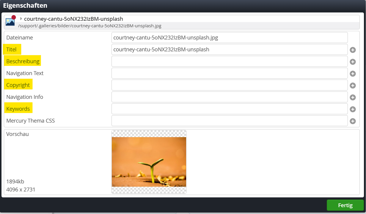 Screenshot Bild in Galerie laden