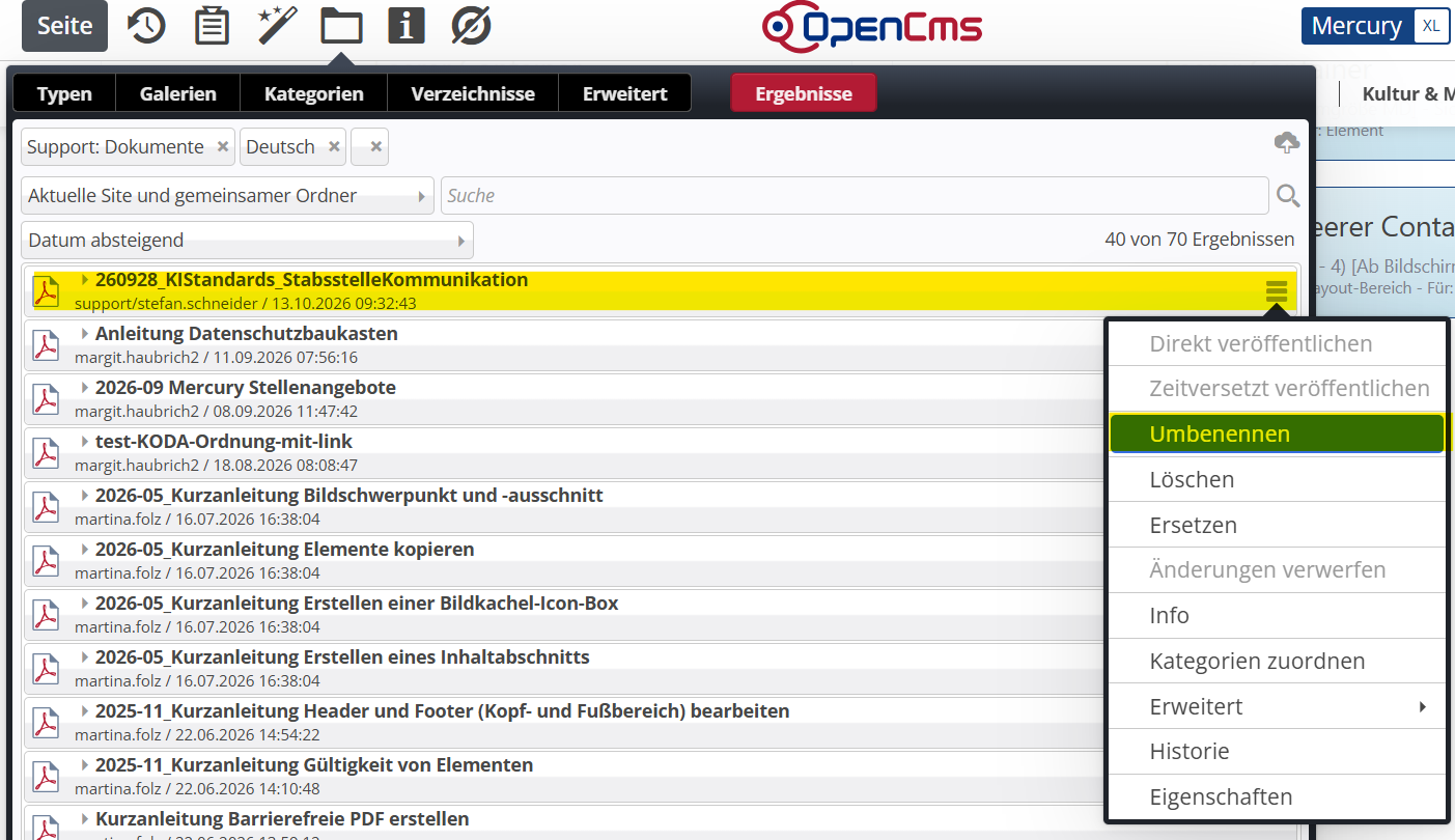Screenshot Dateiname PDF ändern 1 (c) Screenshot OpenCms Screenshot Dateiname PDF ändern 1