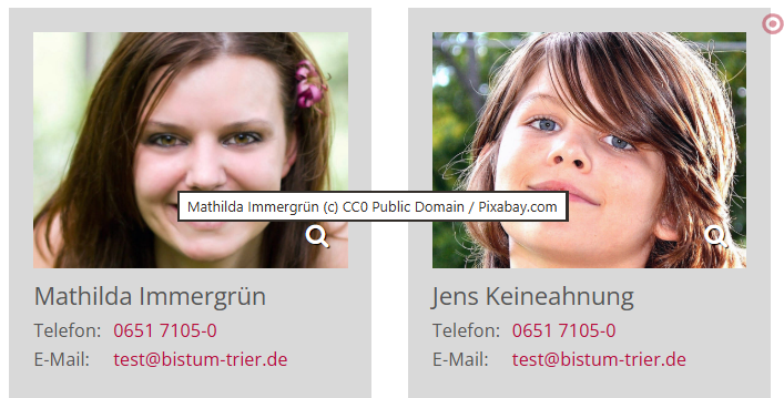 Bildbeschriftung beim Mouseover