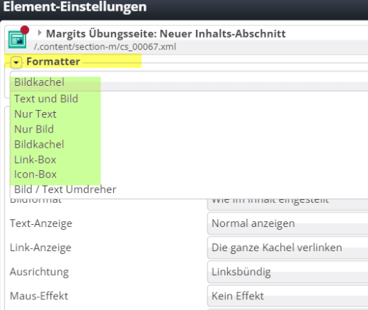 Screenshot der Einstellungen unter Formatter