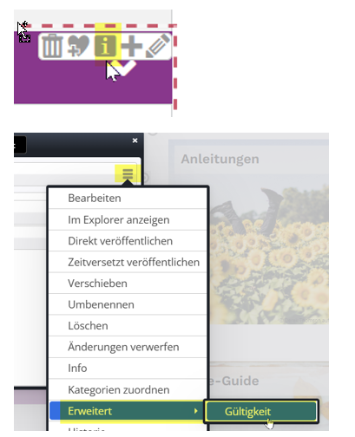 Screenshot aus OpenCms