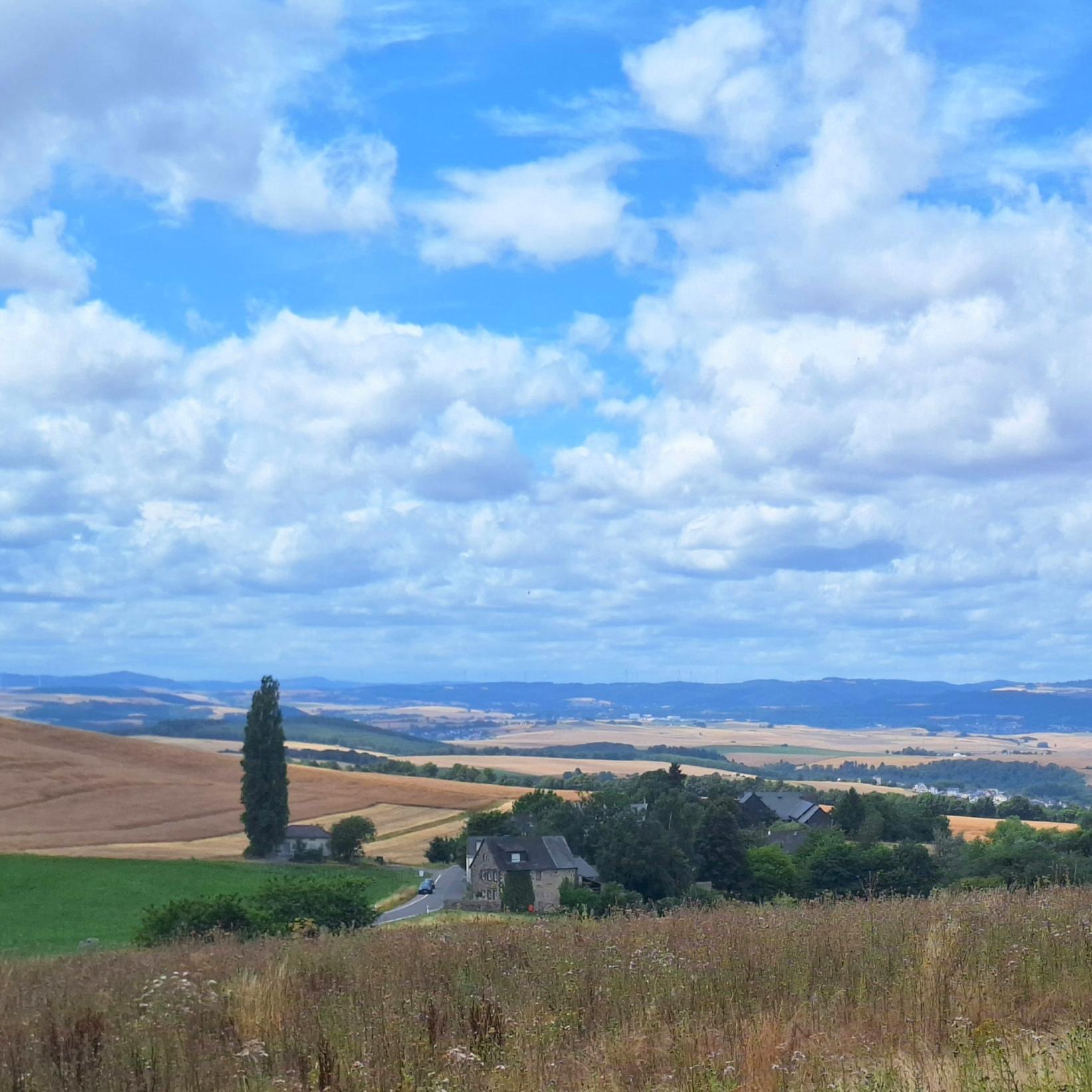 Landschaftsfoto Eifel