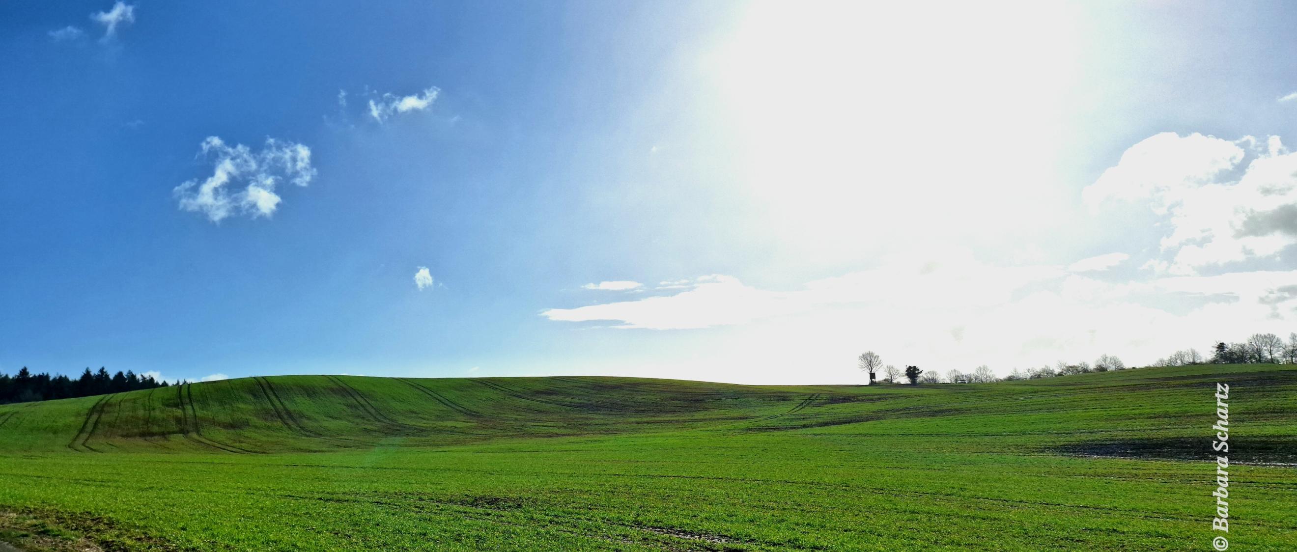 Gleißende Sonne über einem Frühlingsacker mit weit entfernter Gesträuchreihe an einem Teil des Horizontes