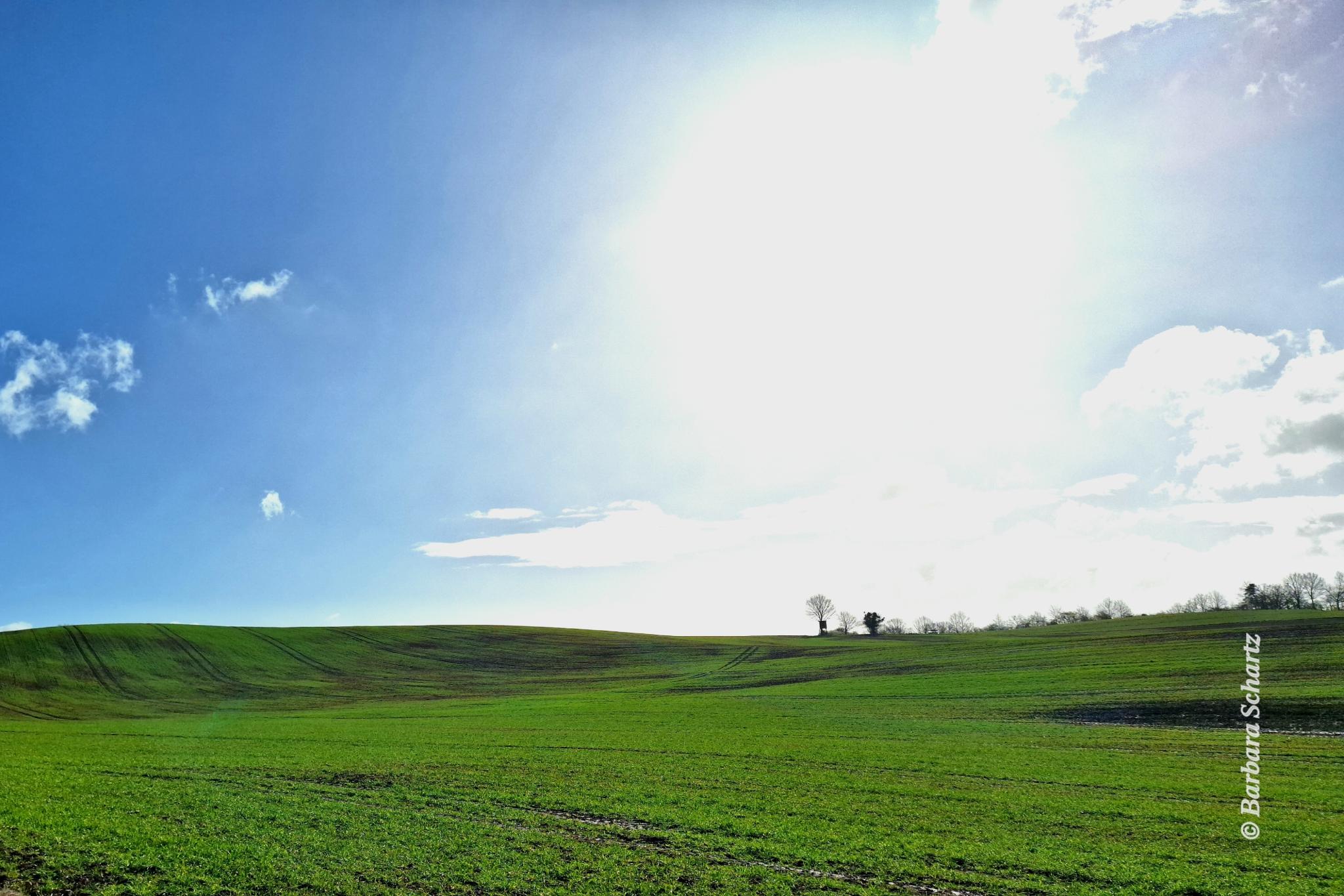Gleißende Sonne über einem Frühlingsacker mit weit entfernter Gesträuchreihe an einem Teil des Horizontes