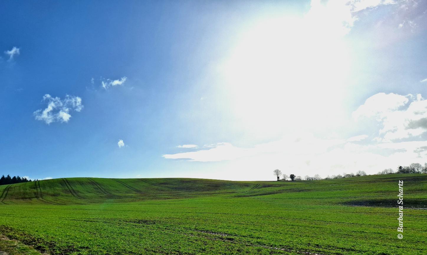 Gleißende Sonne über einem Frühlingsacker mit weit entfernter Gesträuchreihe an einem Teil des Horizontes