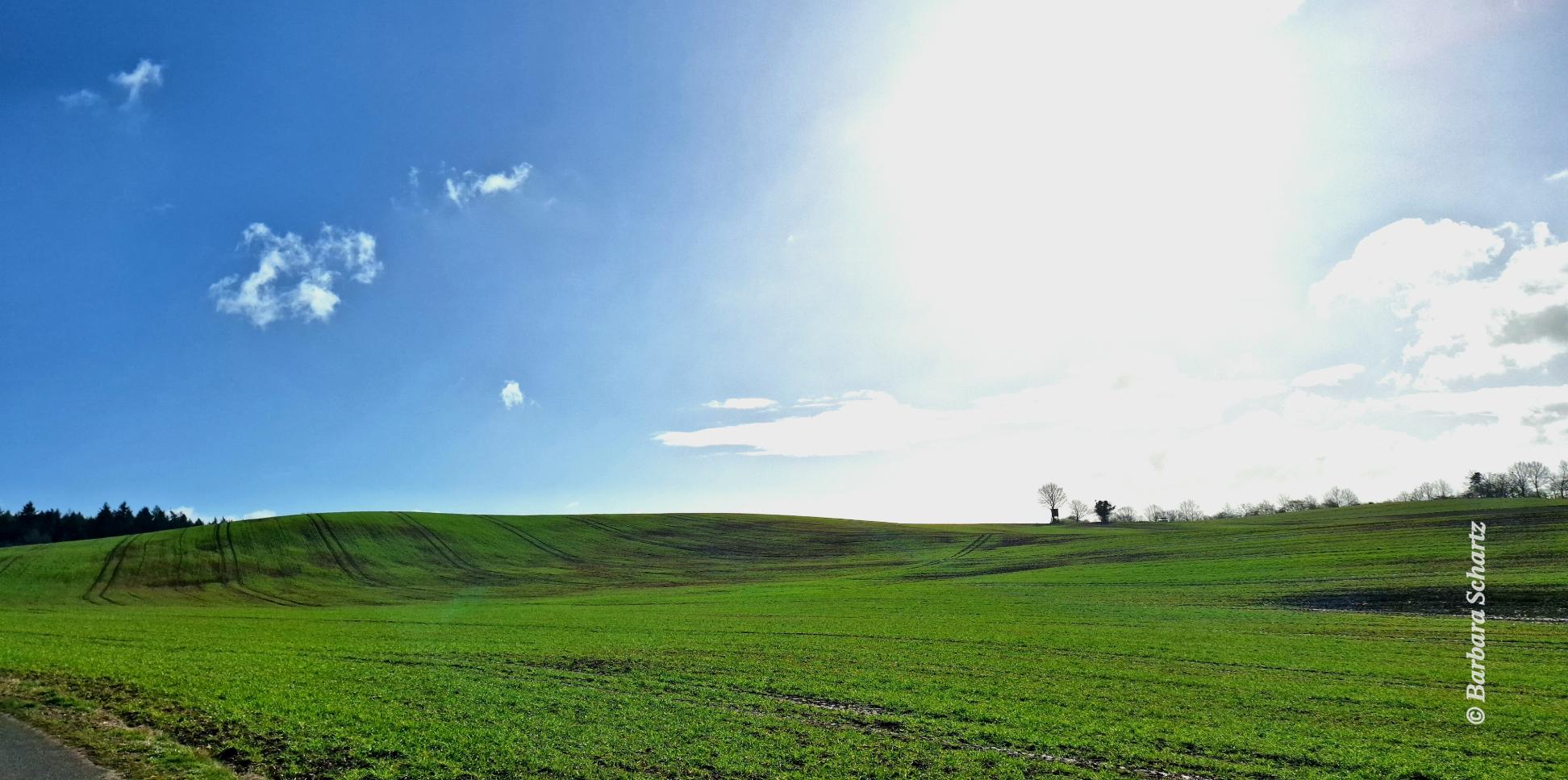 Gleißende Sonne über einem Frühlingsacker mit weit entfernter Gesträuchreihe an einem Teil des Horizontes
