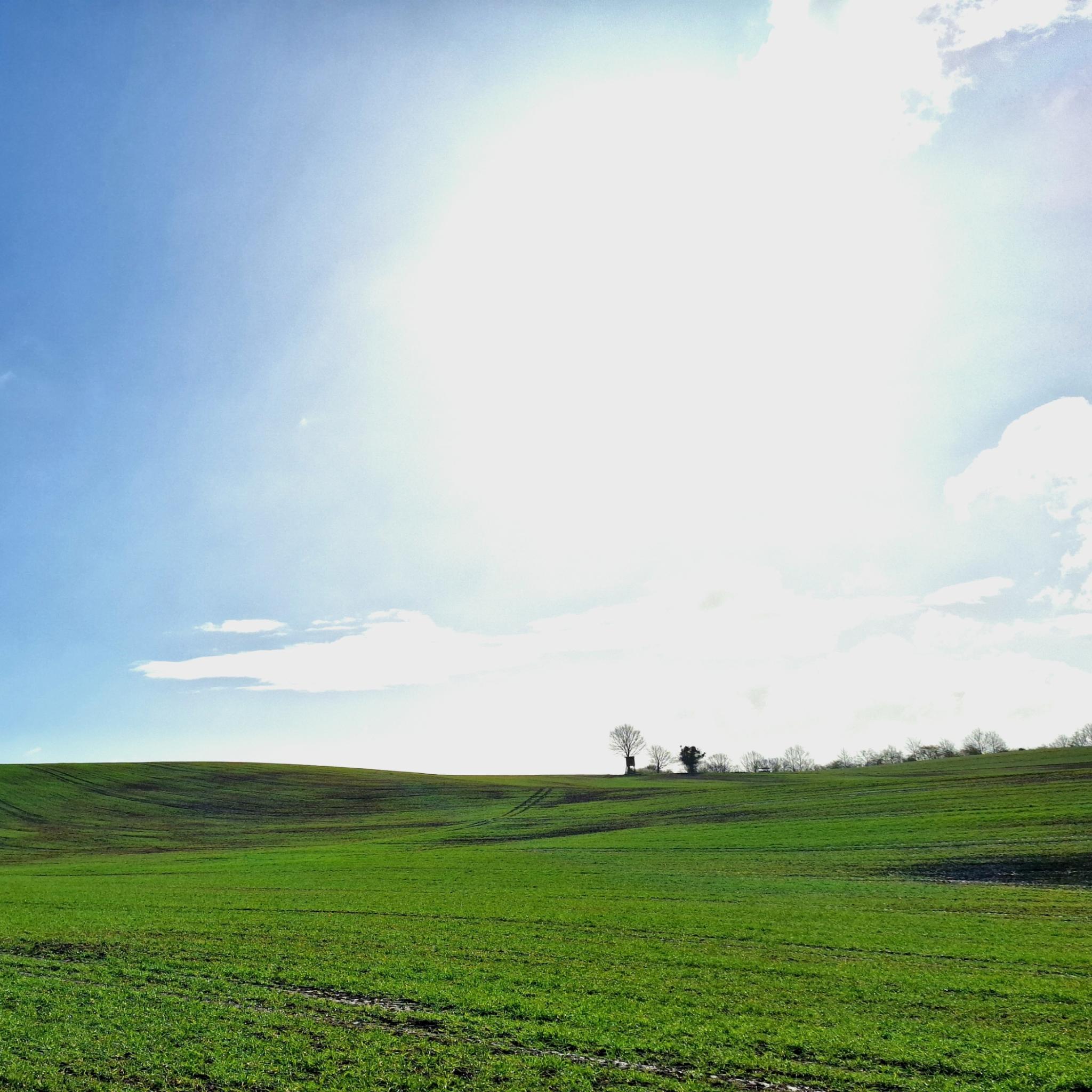 Gleißende Sonne über einem Frühlingsacker mit weit entfernter Gesträuchreihe an einem Teil des Horizontes