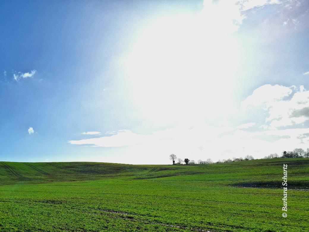 Gleißende Sonne über einem Frühlingsacker mit weit entfernter Gesträuchreihe an einem Teil des Horizontes