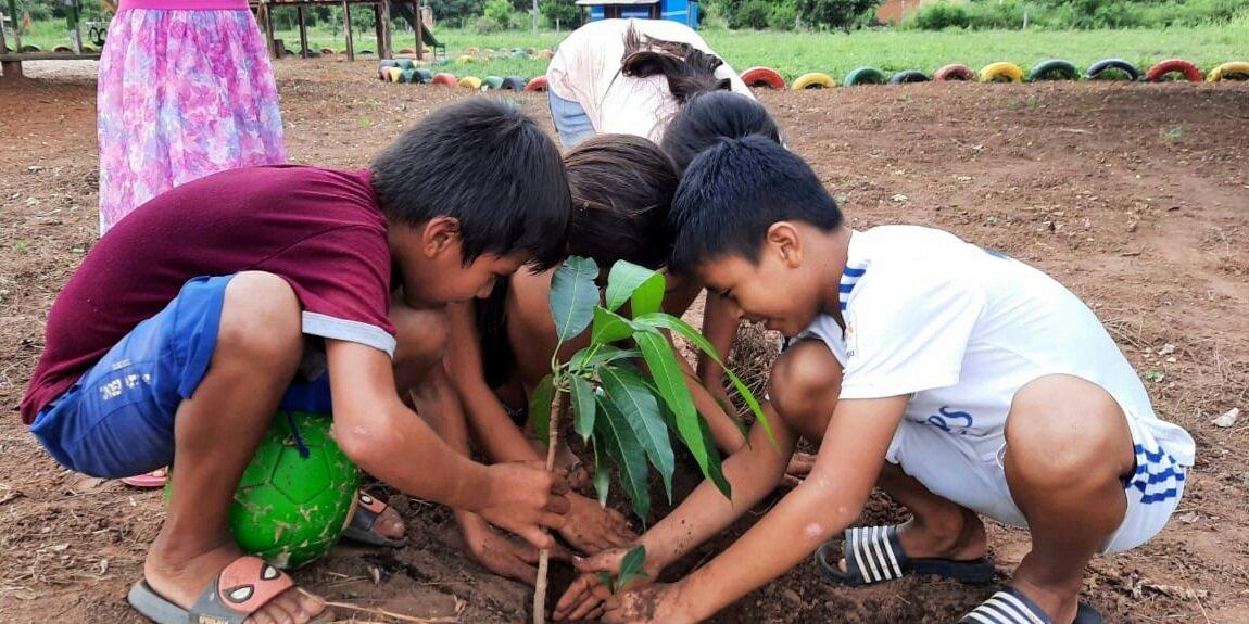 Bolivianische Kinder pflanzen einen Baum