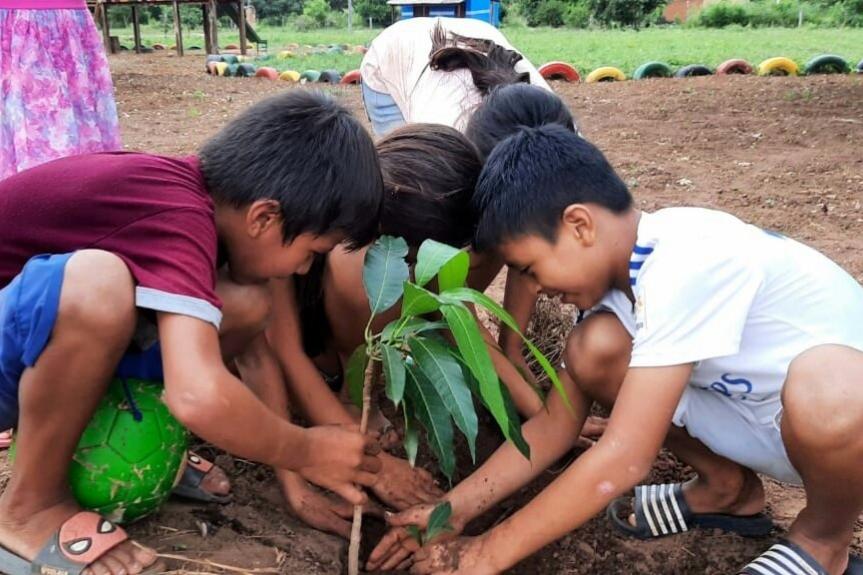 Bolivianische Kinder pflanzen einen Baum