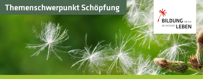 Themenschwerpunkt Schöpfung mit dem Logo 'Bildung für ein gelingendes Leben'