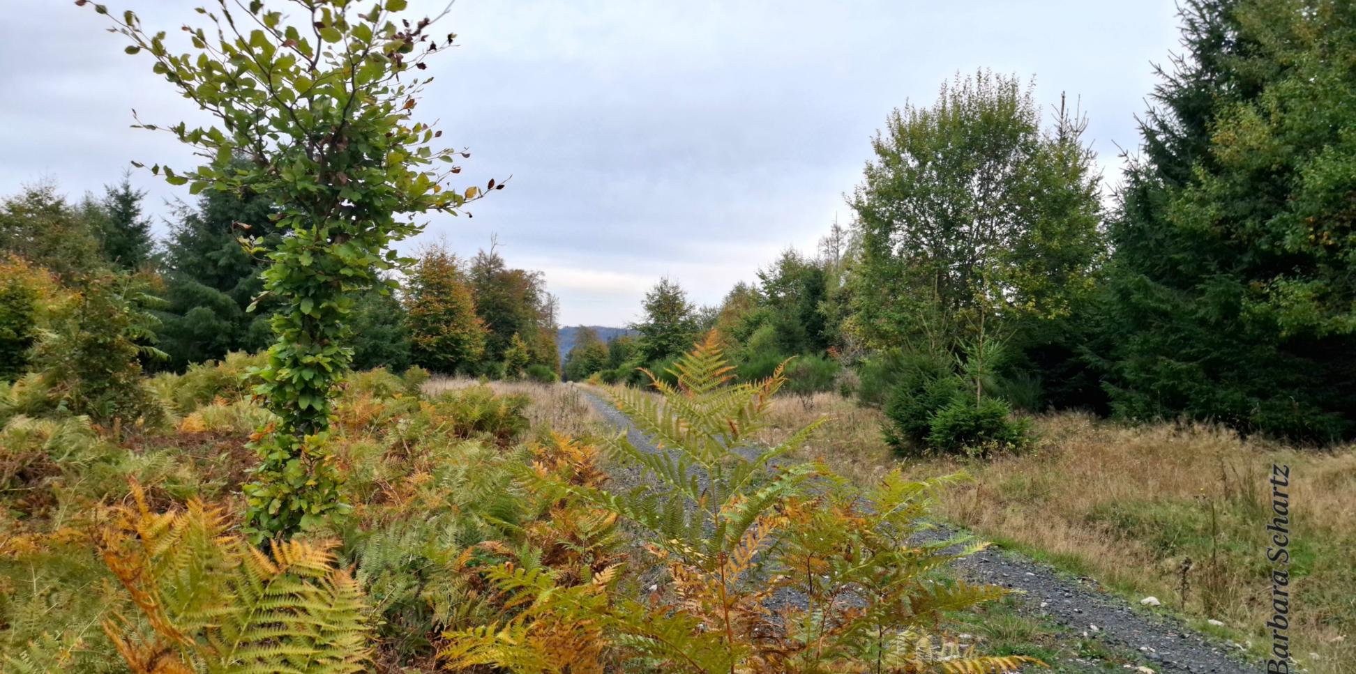Naturfoto der Woche