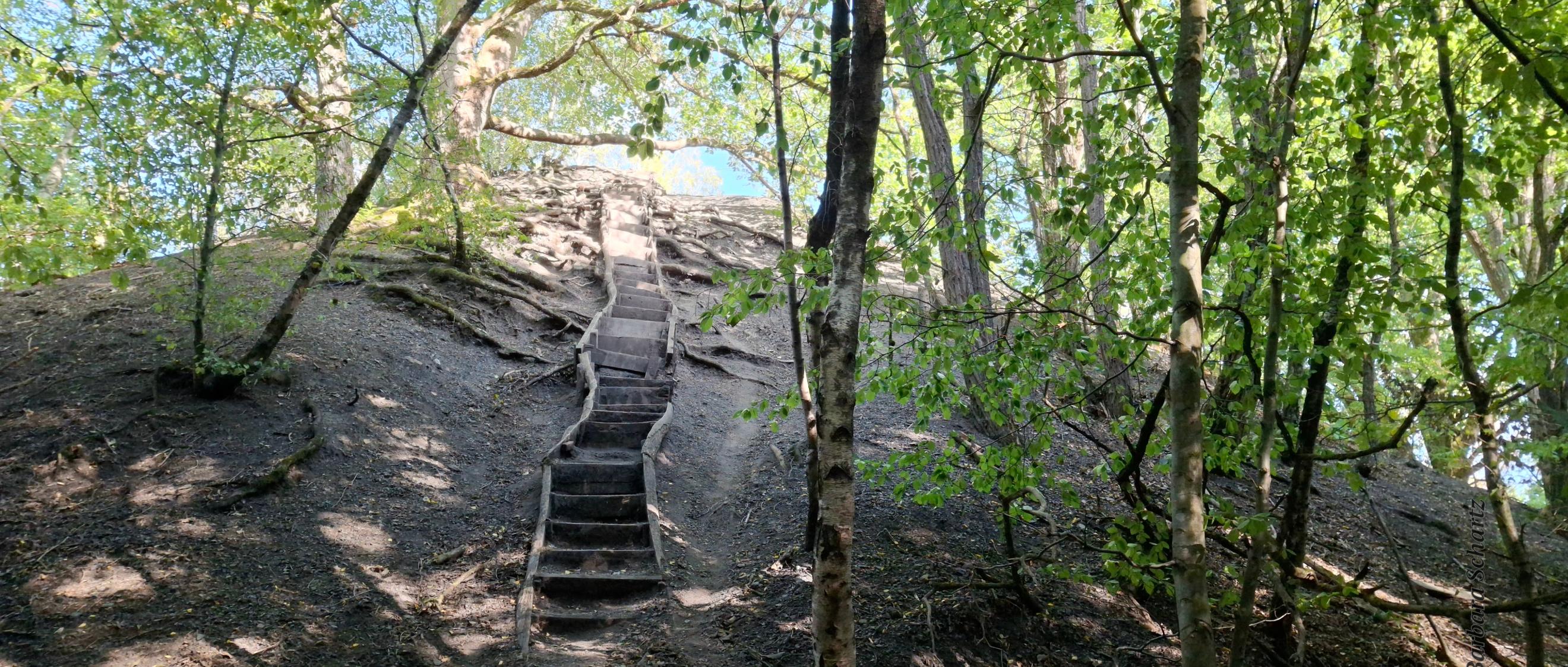 Holzbohlenaufstieg auf eine Spitzkegelhalde im Urwald Saarbrücken