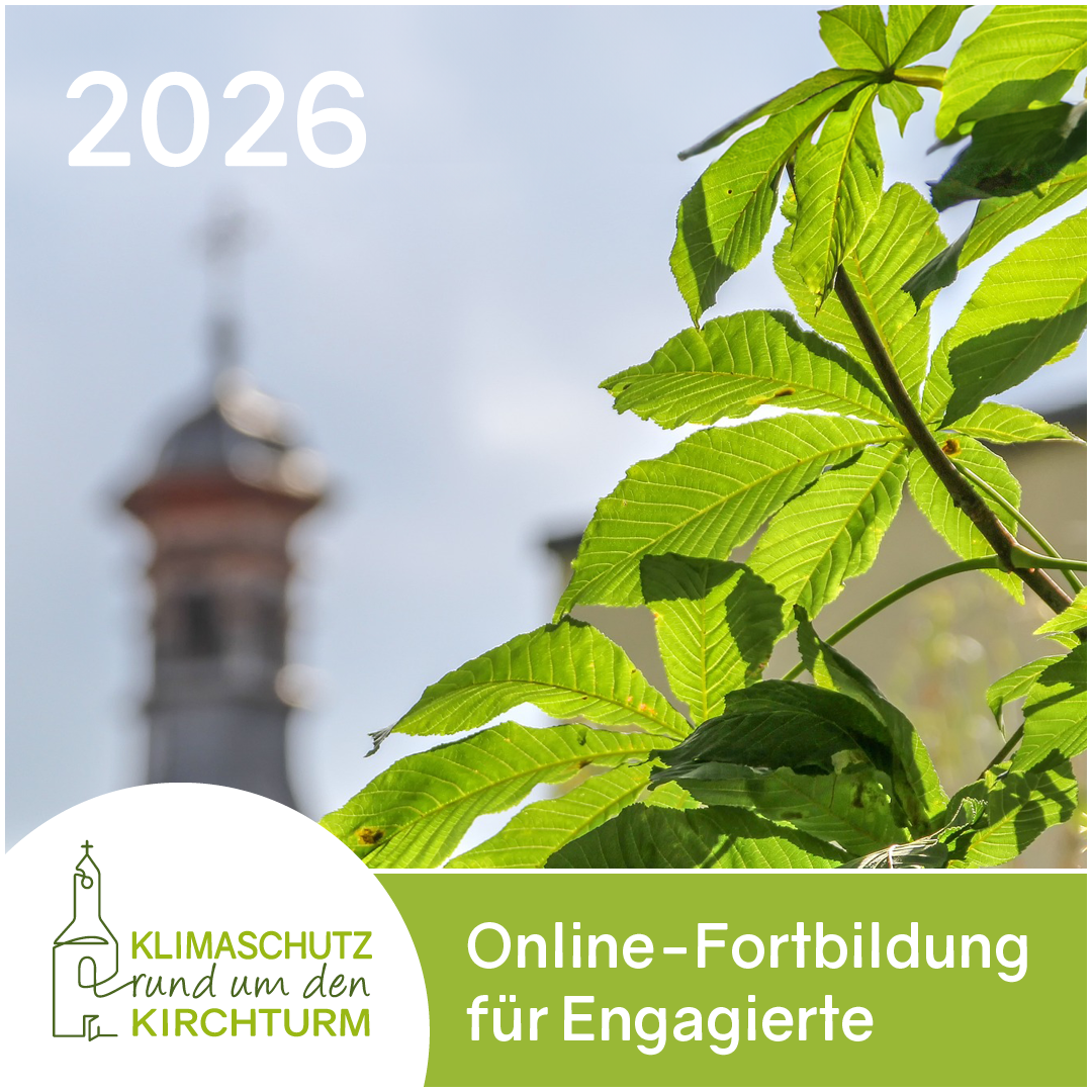 Das Plakat zur Veranstaltungsreihe Klimaschutz rund um den Kirchturm zeigt im Hintergrund einen Kirchturm, davor am rechten Rand einen Baum und links unten das Logo der Fortbildungsreihe.