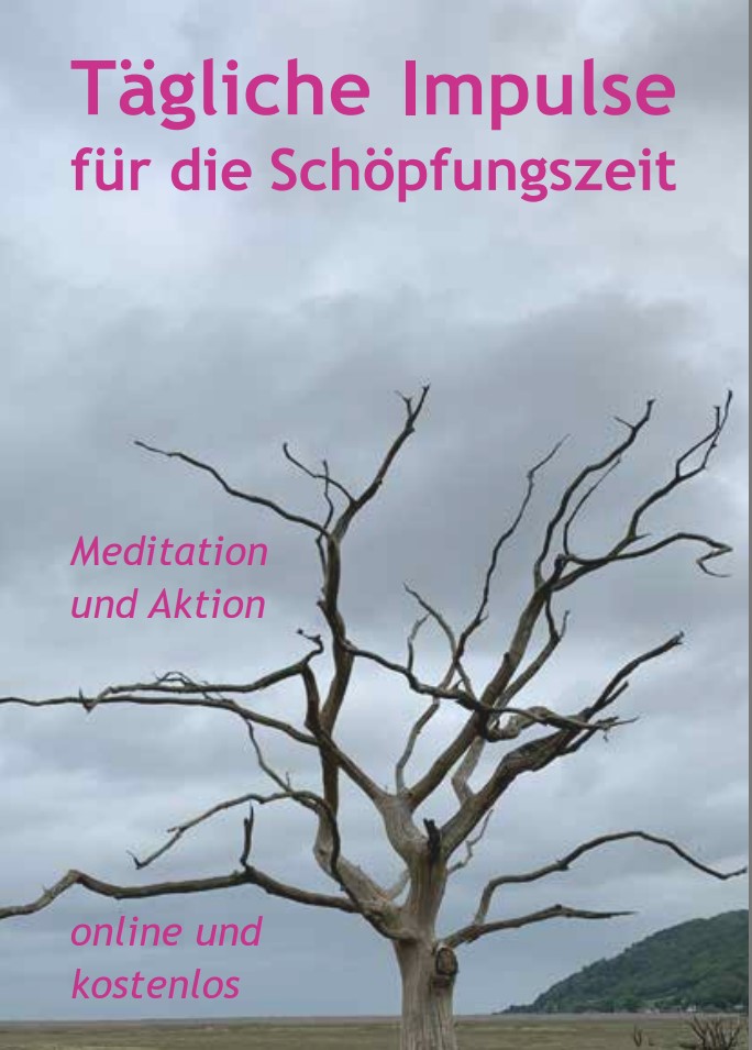 Plakat Tägliche Impulse zur Schöpfungszeit der Evangelischen Erwachsenenbildung Freiburg