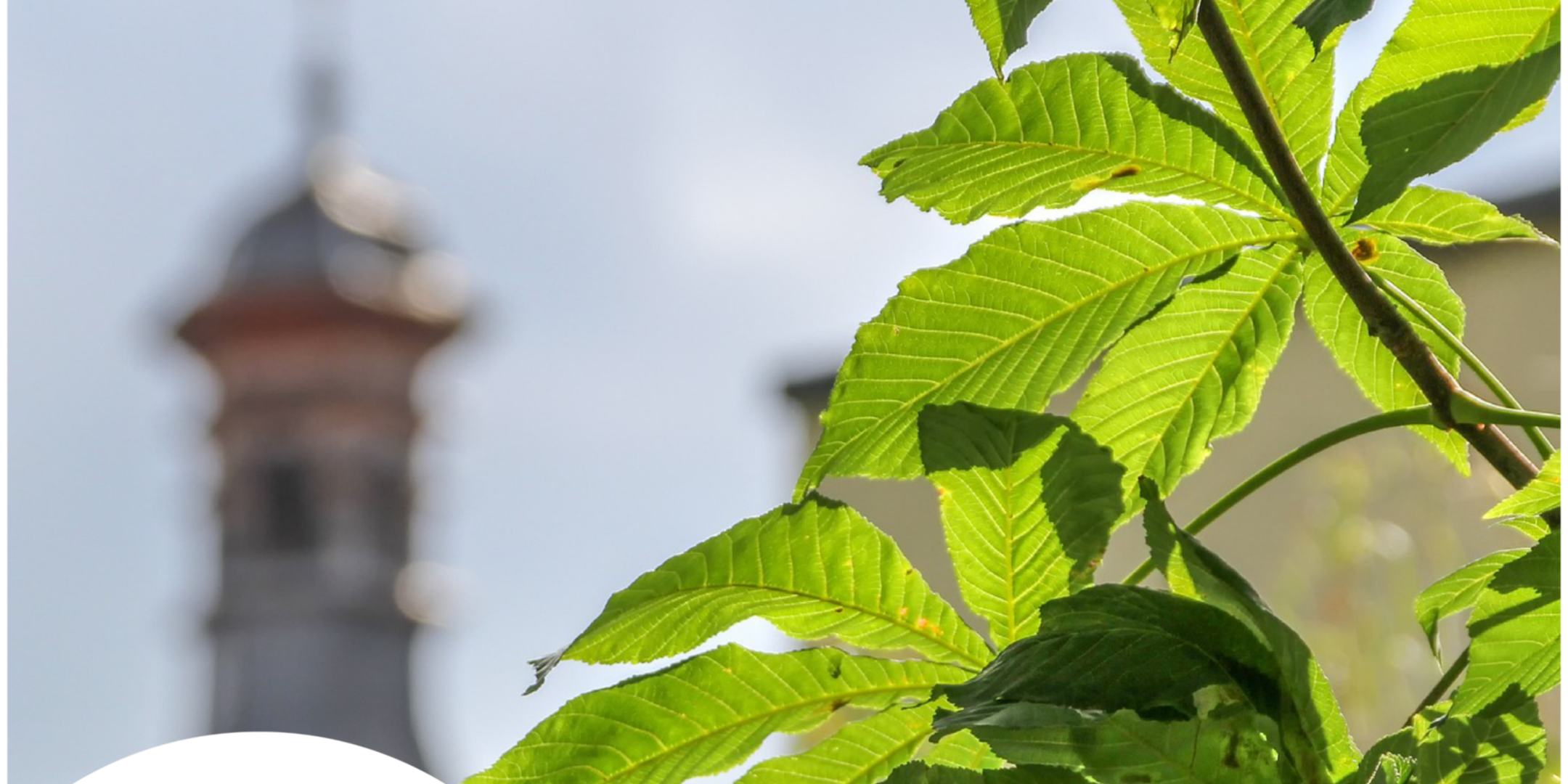 Plakat Online-Fortbildung für Engagierte in der Reihe Klimaschutz rund um den Kirchturm