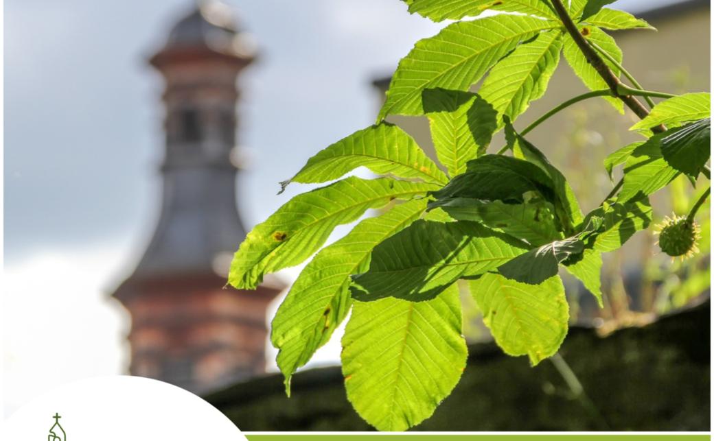 Plakat Online-Fortbildung für Engagierte in der Reihe Klimaschutz rund um den Kirchturm