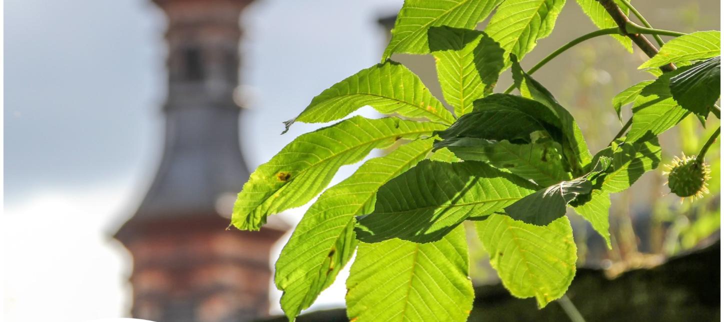 Klimaschutz rund um den Kirchturm - Die Veranstaltungsreihe geht auch in 2025 weiter!