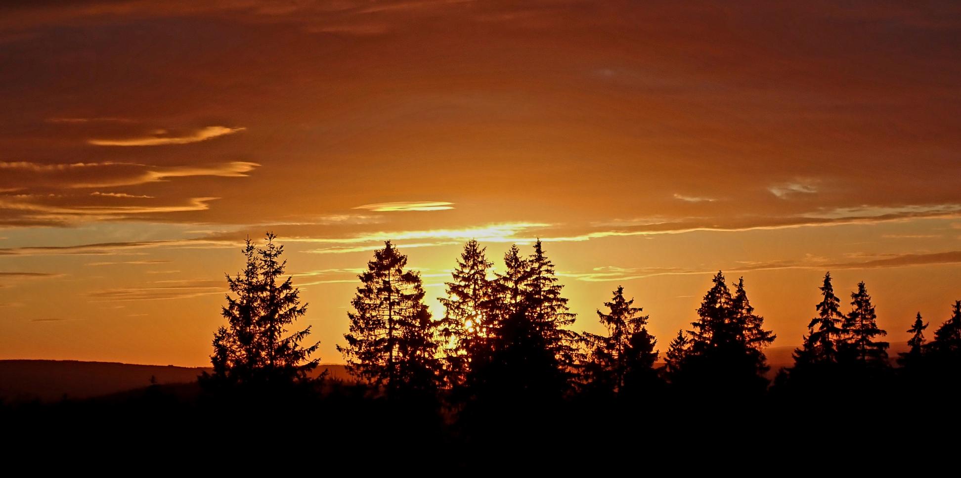 orange gefärbter Himmel beim Sonnenuntergang hinter Fichtelwipfeln