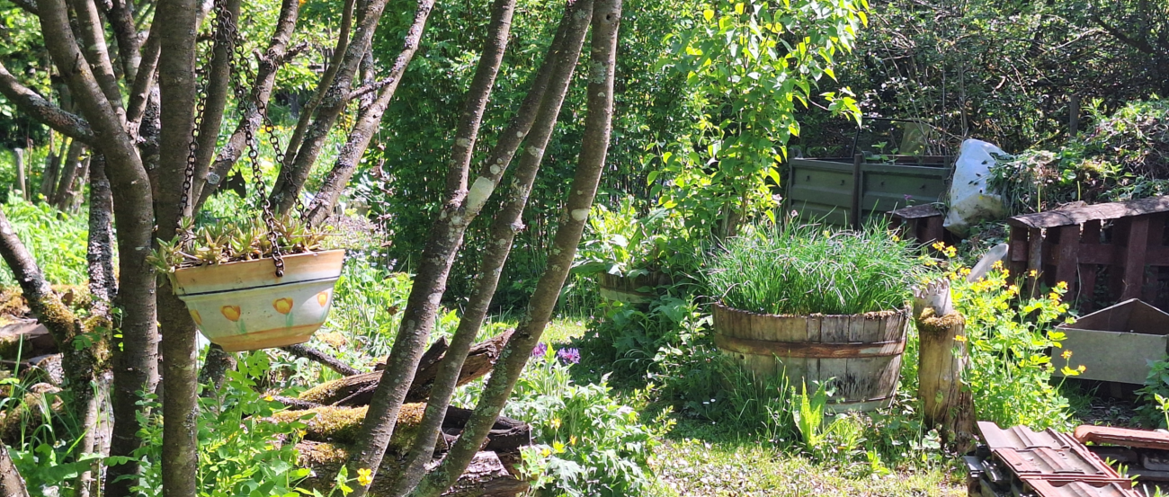 Ansicht eines Naturgartens