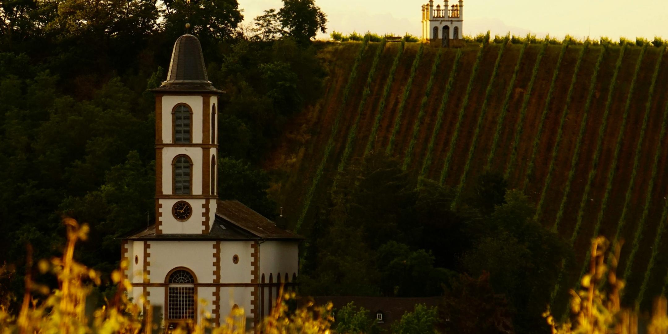Eine Kirche inmitten eines Weinbergs (c) Luca J / unsplash.com Eine Kirche inmitten eines Weinbergs