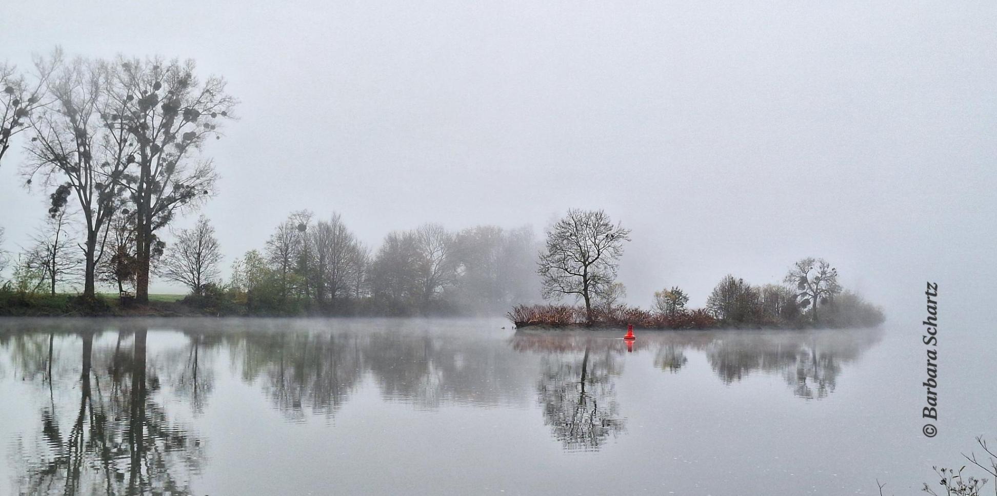 Fluß mit Insel im Nebel