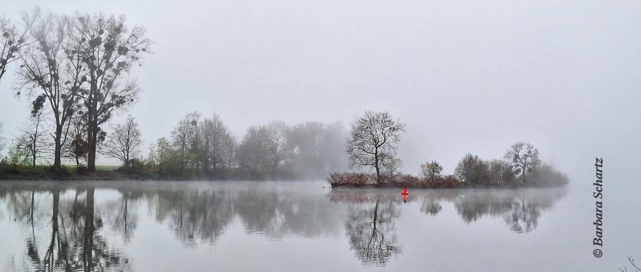 Fluß mit Insel im Nebel