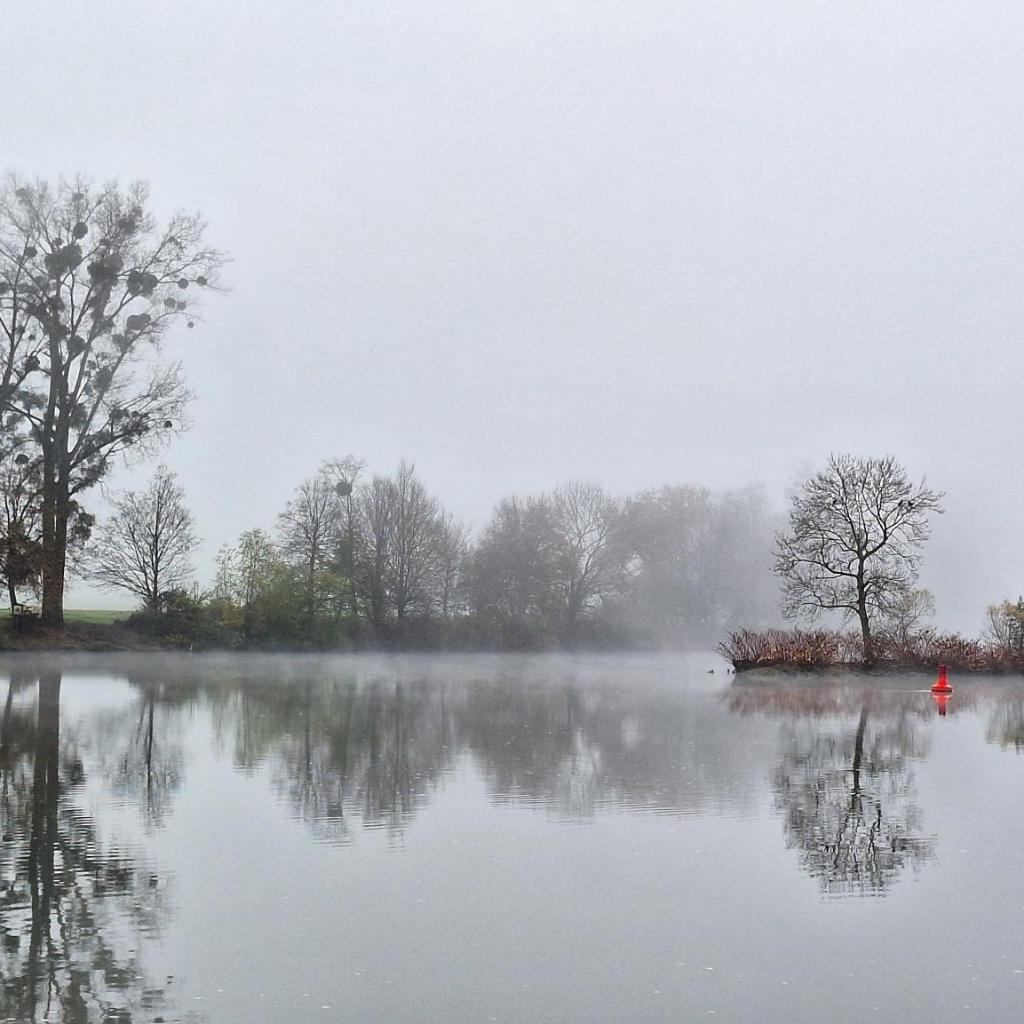Fluß mit Insel im Nebel