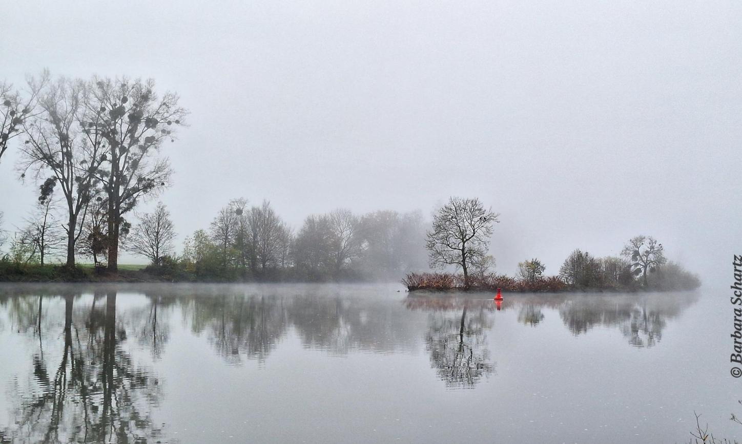 Fluß mit Insel im Nebel