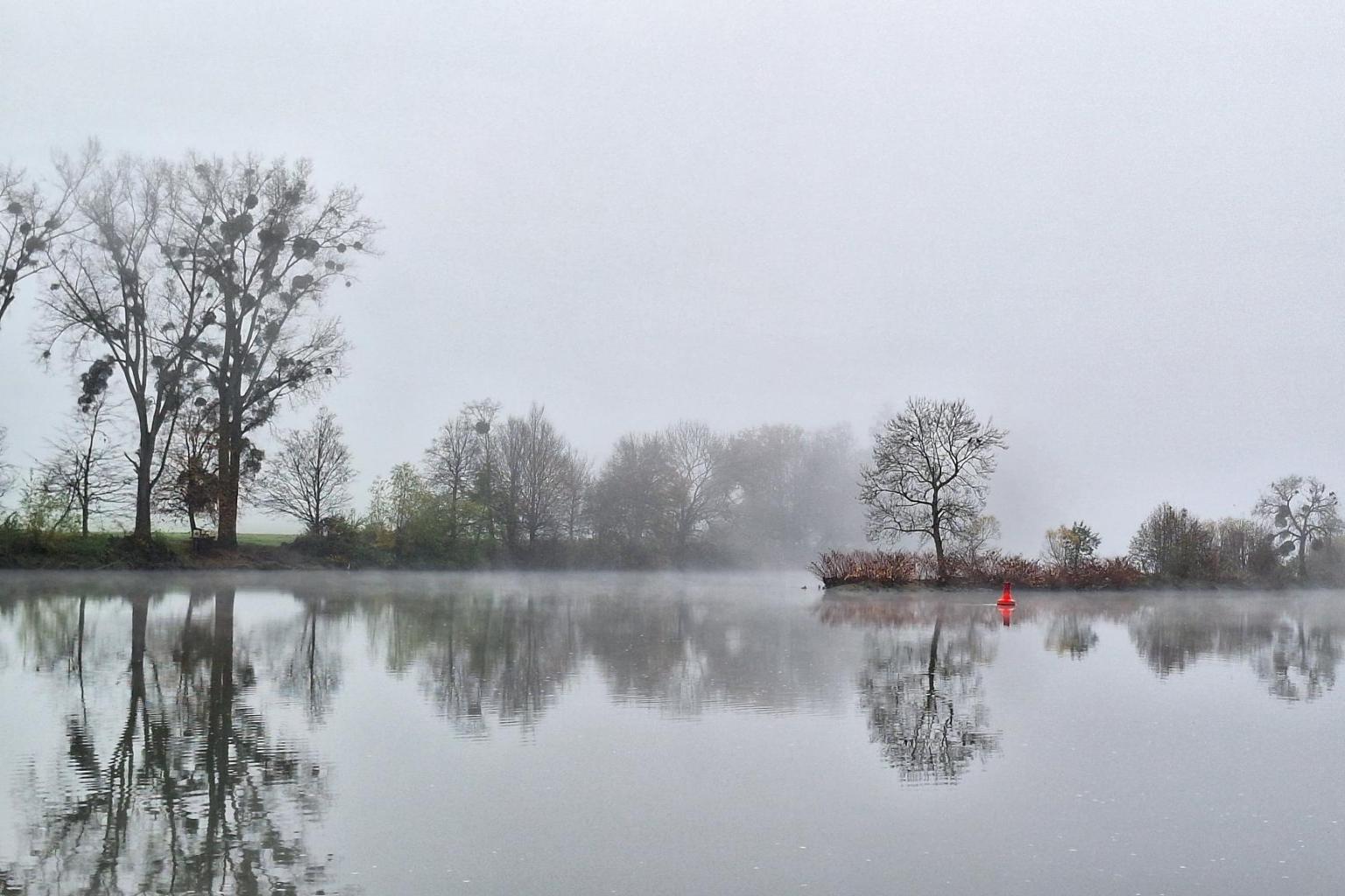 Fluß mit Insel im Nebel